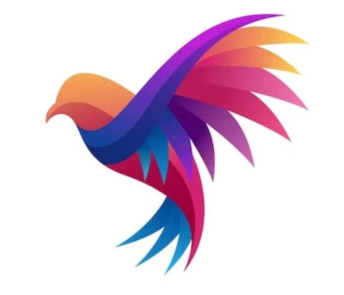 #1 Branding Agency in United Arab Emirates