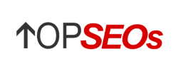 TopSEOs x Bluelinks Agency