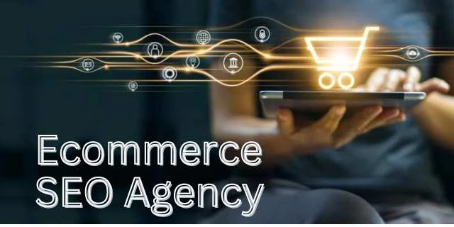 E-commerce SEO Agency