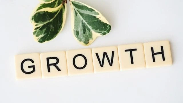 Website Essentials for Brand Growth