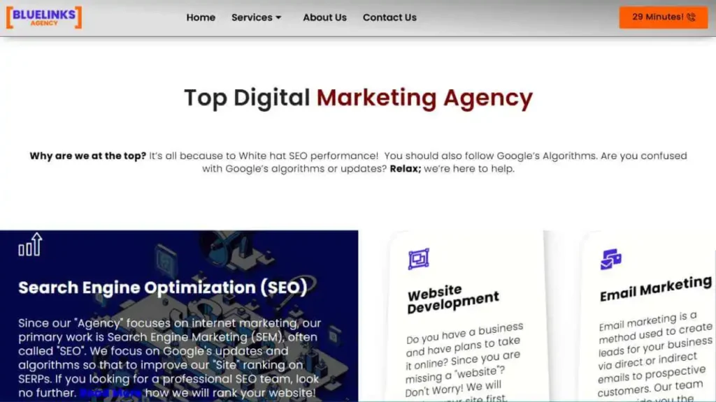 Bluelinks Agency