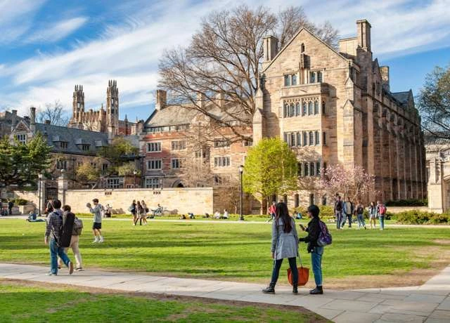 Digital Marketing for Colleges & Universities Unlocking Growth Opportunities