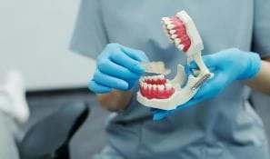 orthodontists