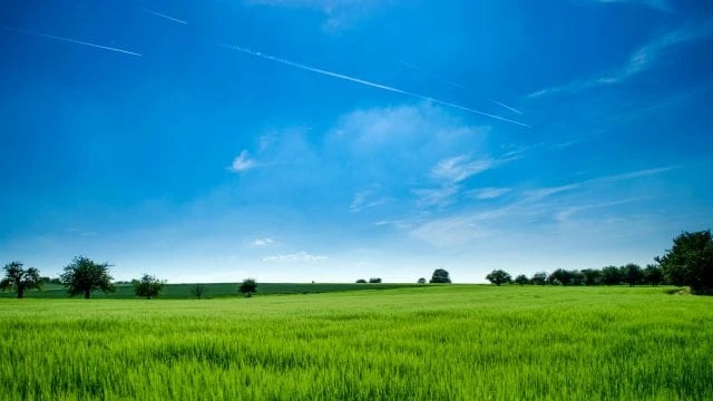 Farms