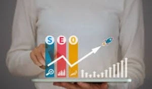 Search Engine Optimization (seo)