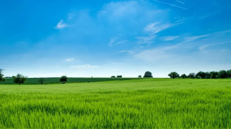 Agriculture Business