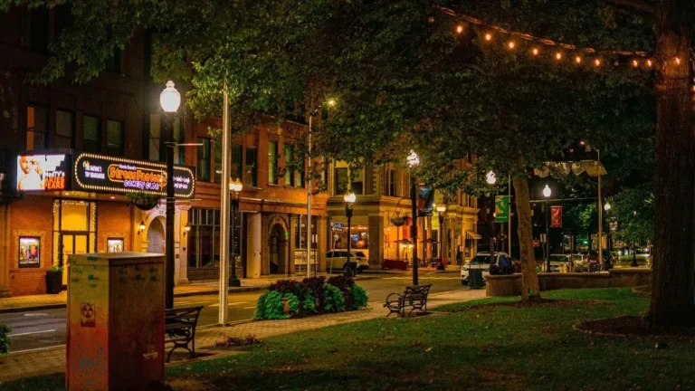 local businesses