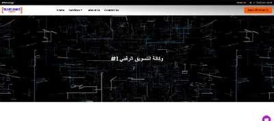 Bluelinks Agency Home Page