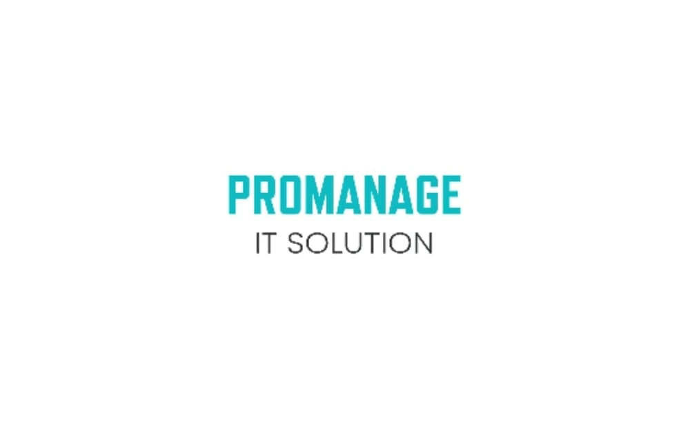 Simple and professional logo with "PROMANAGE" in bright teal uppercase letters and "IT SOLUTION" in smaller gray font, centered on a white background.