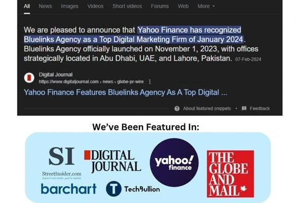 Why Bluelinks Agency