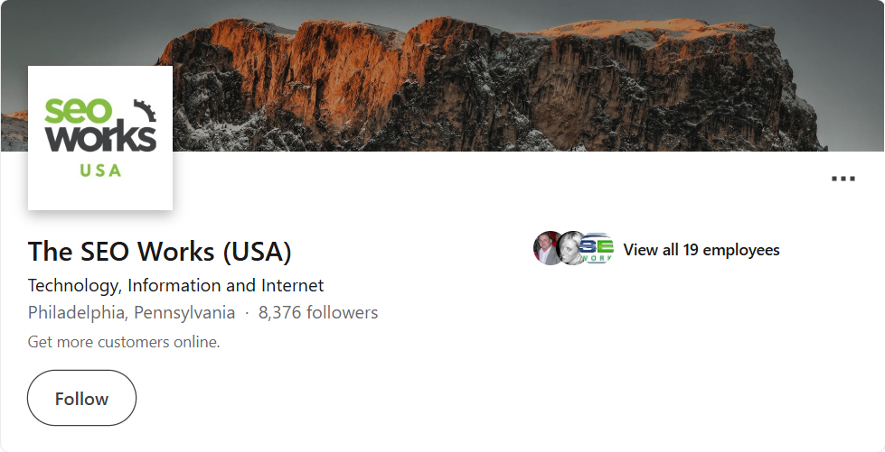LinkedIn company profile screenshot of The SEO Works (USA), a digital marketing agency based in Philadelphia, Pennsylvania, with over 8,000 followers, focused on helping businesses get more customers online.