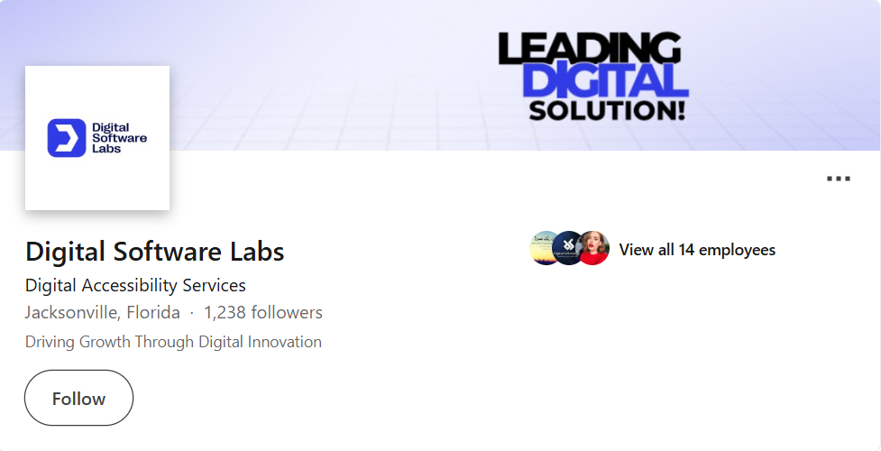 Digital Software Labs