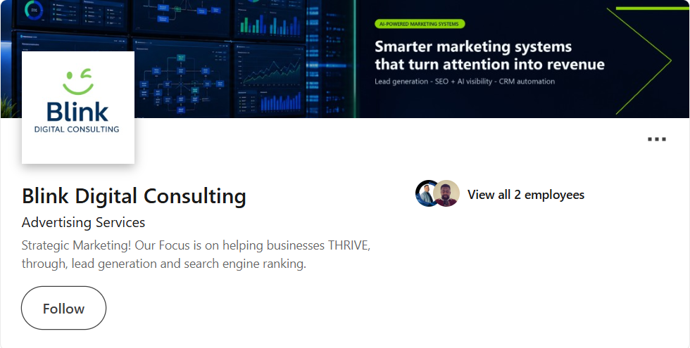 Blink Digital Consulting