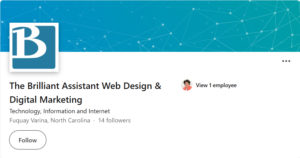 The Brilliant Assistant Inc