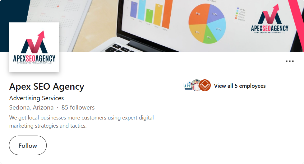 Apex SEO Company
