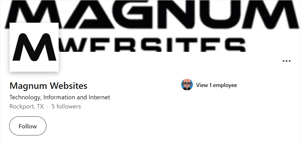 Magnum Websites