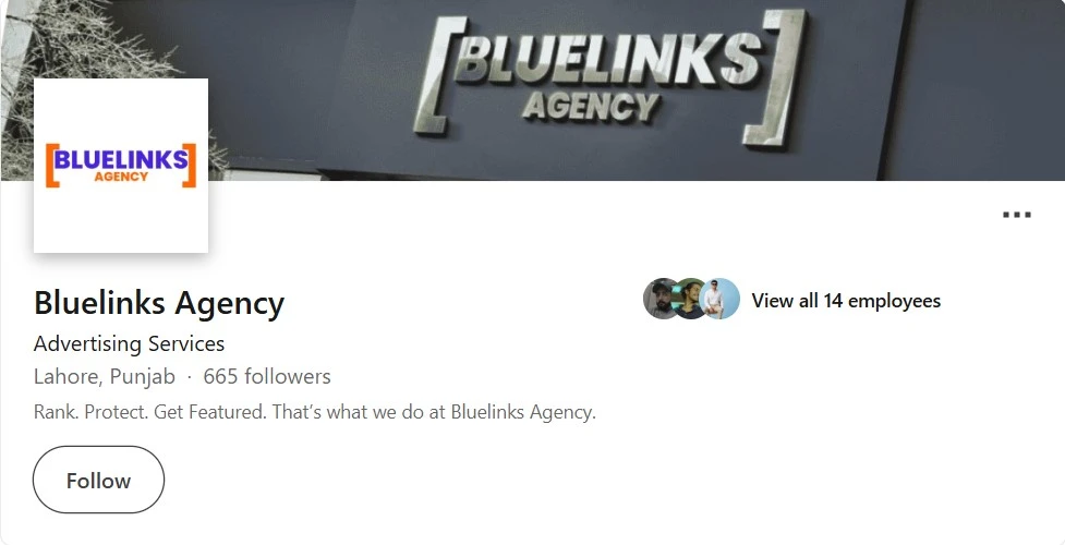 Bluelinks Agency