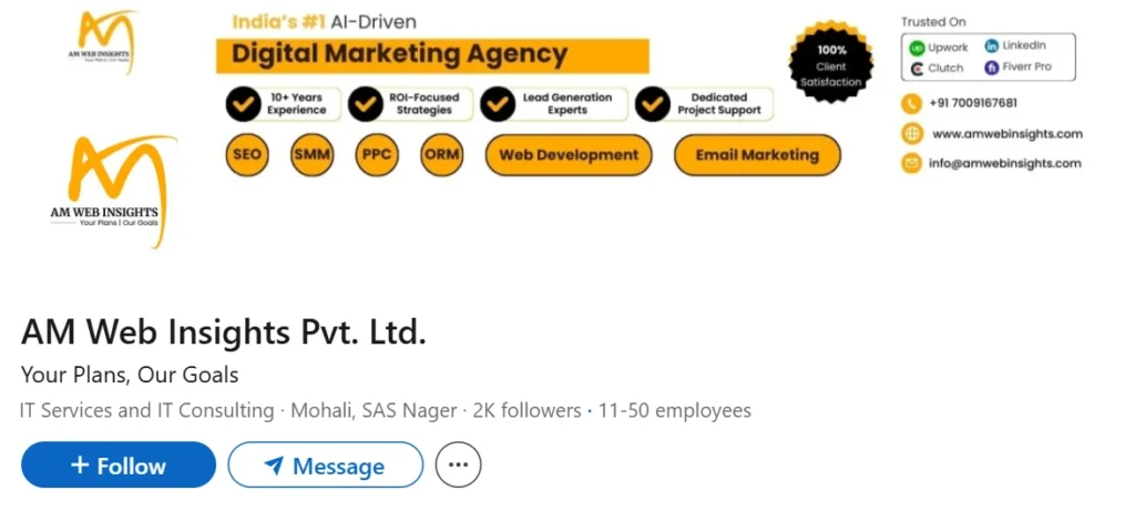 AM Web Insights