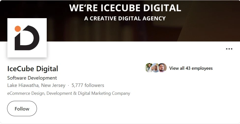 Ice Cube Digital