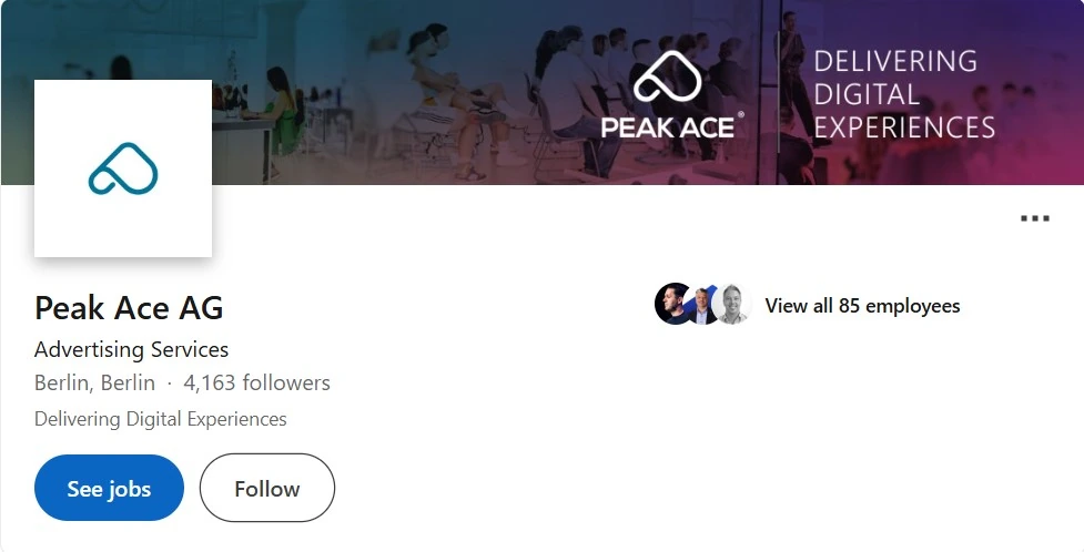 Peak Ace AG