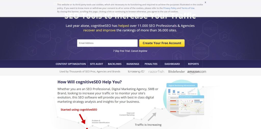 CognitiveSEO